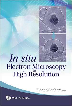 In-Situ Electron Microscopy at High Resolution de Florian Banhart