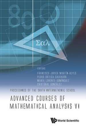 ADVANCED COURSES OF MATHEMATICAL ANALYSIS VI de Pedro Ort Francisco Javier Martin-Reyes