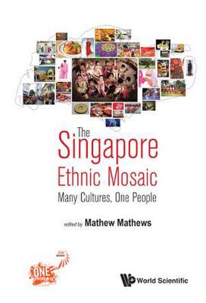 SINGAPORE ETHNIC MOSAIC, THE de Mathew Mathews