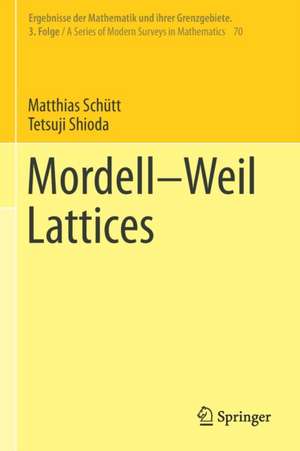 Mordell–Weil Lattices de Matthias Schütt