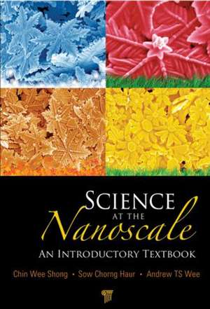 Science at the Nanoscale: An Introductory Textbook de Andrew T. S. Wee