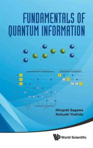 Fundamentals of Quantum Information de Hiroyuki Sagawa