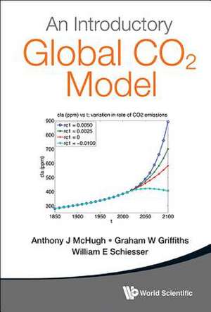 Introductory Global Co2 Model, an (with Companion Media Pack): The Macroeconomic Implications of Microeconomic Heterogeneity de Graham W. Griffiths