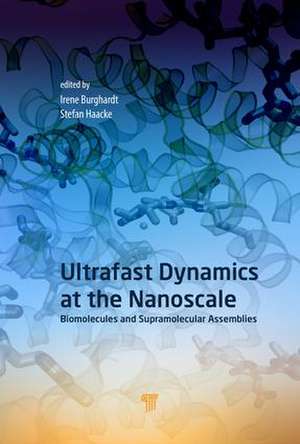 Ultrafast Dynamics at the Nanoscale: Biomolecules and Supramolecular Assemblies de Stefan Haacke