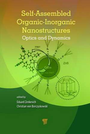 Self-Assembled Organic-Inorganic Nanostructures: Optics and Dynamics de Christian von Borczyskowski