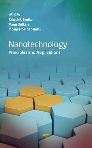 Nanotechnology: Principles and Applications de Rakesh K. Sindhu