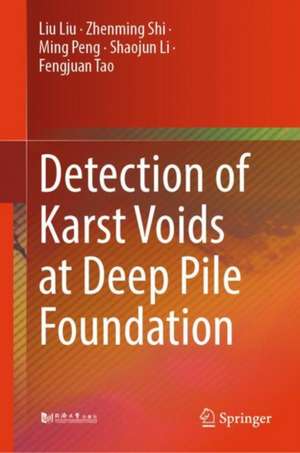 Detection of Karst Voids at Deep Pile Foundation de Liu Liu