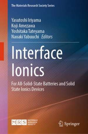 Interface Ionics de Yasutoshi Iriyama