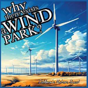 Why there exists a Wind Park? de M Borhan