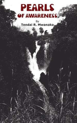 Pearls of Awareness de Tendai R Mwanaka