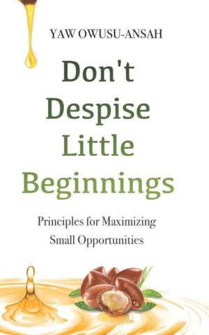 Don't Despise Little Beginnings: Principles for Maximizing Small Opportunities de Yaw Owusu Ansah