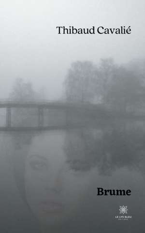 Brume de Thibaud Cavalié