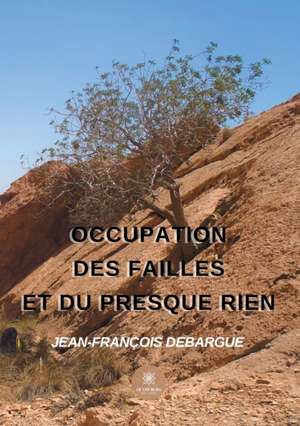 Occupation des failles et du presque rien de Jean-François Debargue