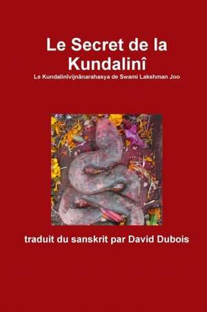 Le Secret de La Kundalini de David DuBois (Traducteur)