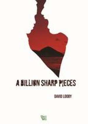 A Billion Sharp Pieces de David Looby