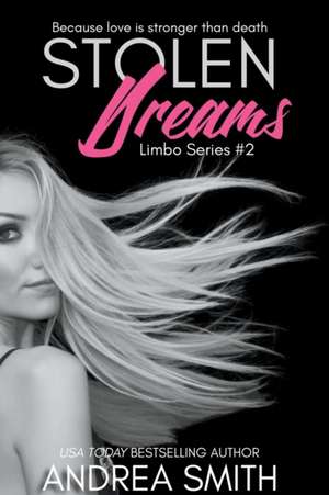 Stolen Dreams de Andrea Smith