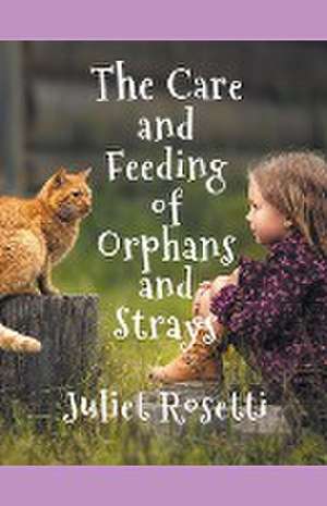 The Care & Feeding of Orphans and Strays de Juliet Rosetti