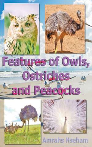 Features of Owls, Ostriches and Peacocks de Amrahs Hseham