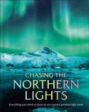 Chasing the Northern Lights de Dk Travel
