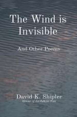 The Wind is Invisible de David K Shipler