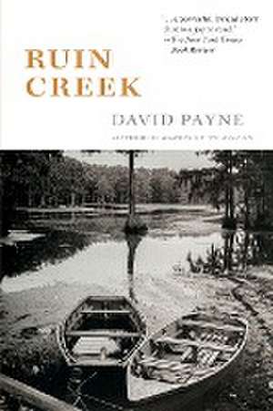 Ruin Creek de David Payne