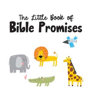 The Little Book of Bible Promises de Christen Kubricht