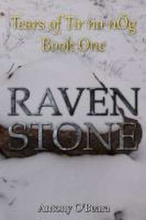 Raven Stone de Antony O'Beara