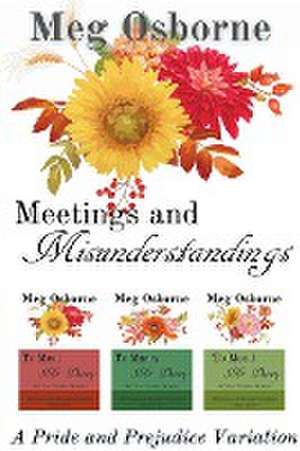 Meetings and Misunderstandings de Meg Osborne