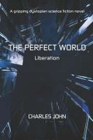 John, C: Perfect World