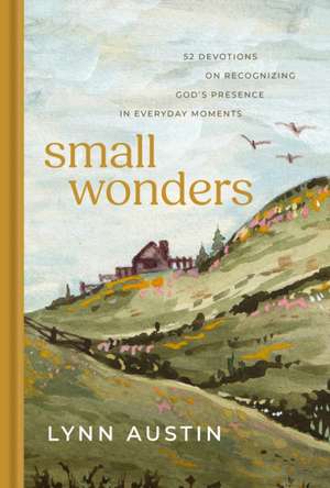 Small Wonders de Lynn N Austin