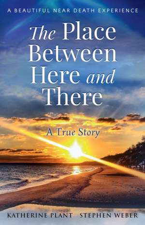 Place Between Here and There de Stephen Weber