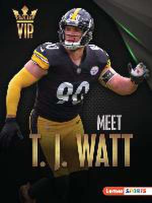 Meet T. J. Watt de Elliott Smith