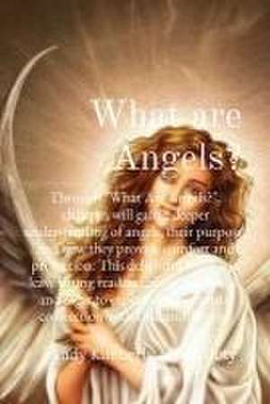 What are Angels? de Lady Kimberly Motes Doty
