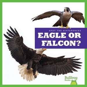 Eagle or Falcon? de Jamie Rice