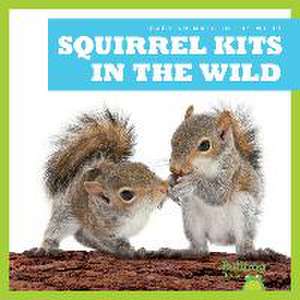 Squirrel Kits in the Wild de Katie Chanez