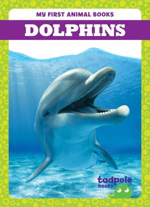 Dolphins de Natalie Deniston
