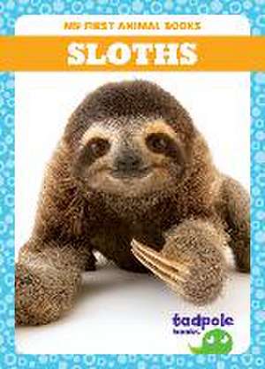 Sloths de Marie Brandle