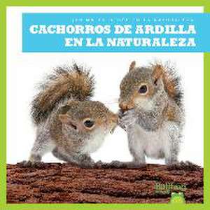 Cachorros de Ardilla En La Naturaleza (Squirrel Kits in the Wild) de Katie Chanez