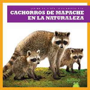 Cachorros de Mapache En La Naturaleza (Raccoon Cubs in the Wild) de Katie Chanez