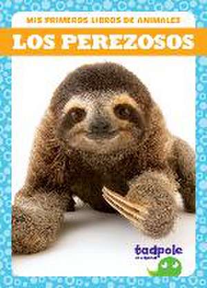 Los Perezosos (Sloths) de Marie Brandle