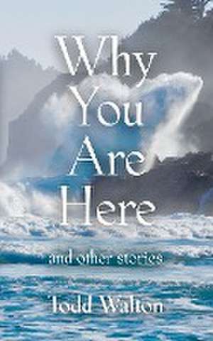 Why You Are Here de Todd Walton