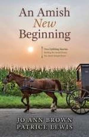 An Amish New Beginning de Jo Ann Brown