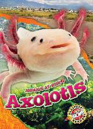 Axolotls de Rachel Grack