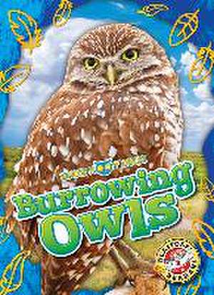 Burrowing Owls de Rachael Barnes