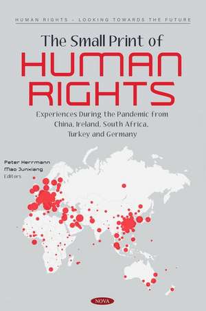 The Small Print of Human Rights: Experiences during the Pandemic from China, Ireland, South Africa, Turkey and Germany de Peter Herrmann