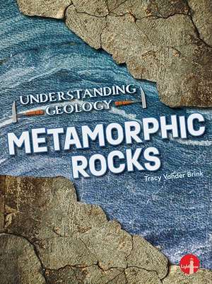 Metamorphic Rocks de Tracy Vonder Brink