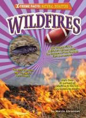 Wildfires de Marcia Abramson