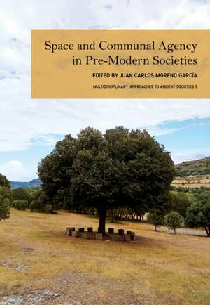 Space and Communal Agency in Pre-Modern Societies de Juan Carlos Moreno García