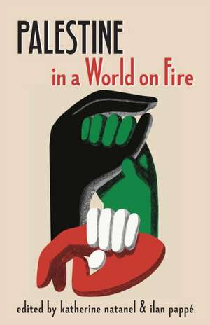 Palestine in a World on Fire de Katherine Natanel