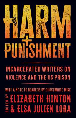 Harm and Punishment de Elizabeth Hinton